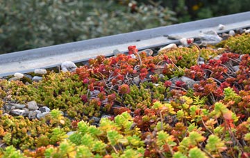 the cost of Whitby green roof installation