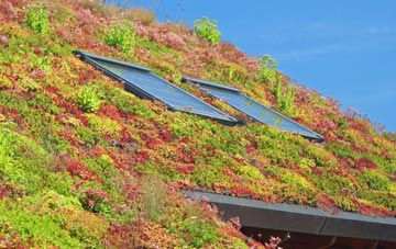 Whitby living roof systems