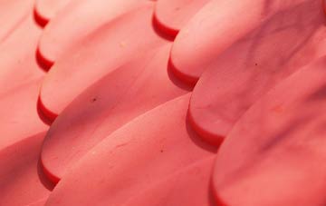 Whitby plastic roof costs