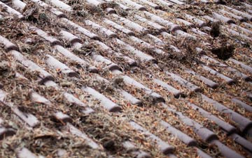 Whitby roof cleaning companies